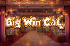 Play'n GO Big Win Cat Slot Logo