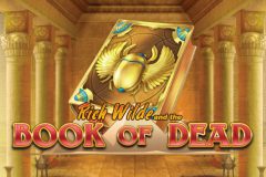 Play'n GO Book of Dead Slot Logo