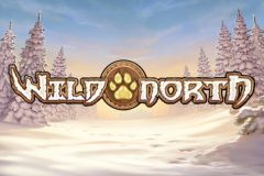 Play'n GO Wild North Slot Logo